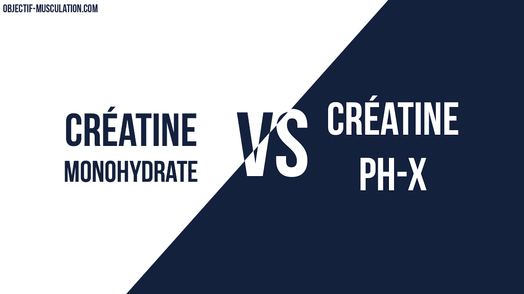créatine monohydrate vs creatine ph-x